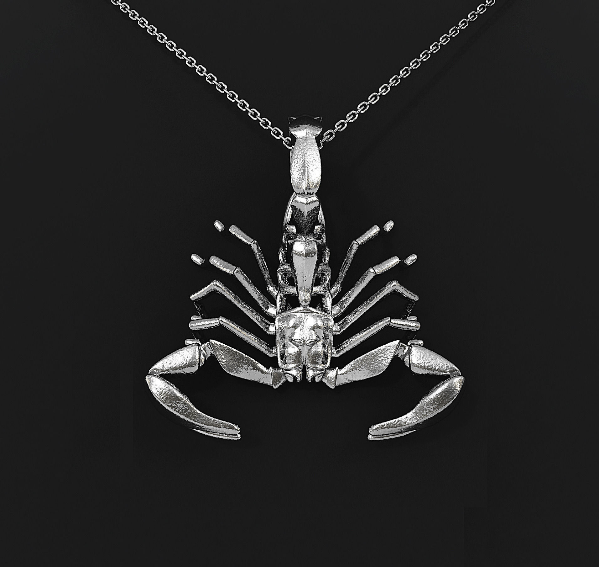 Scorpio Zodiac Pendant 3D print model_2