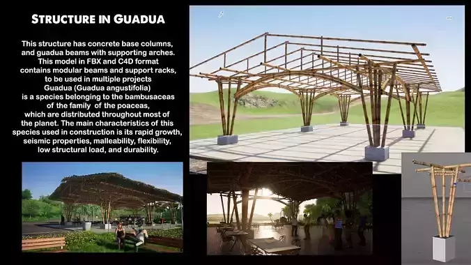 GUADUA STRUCTURE 3D model