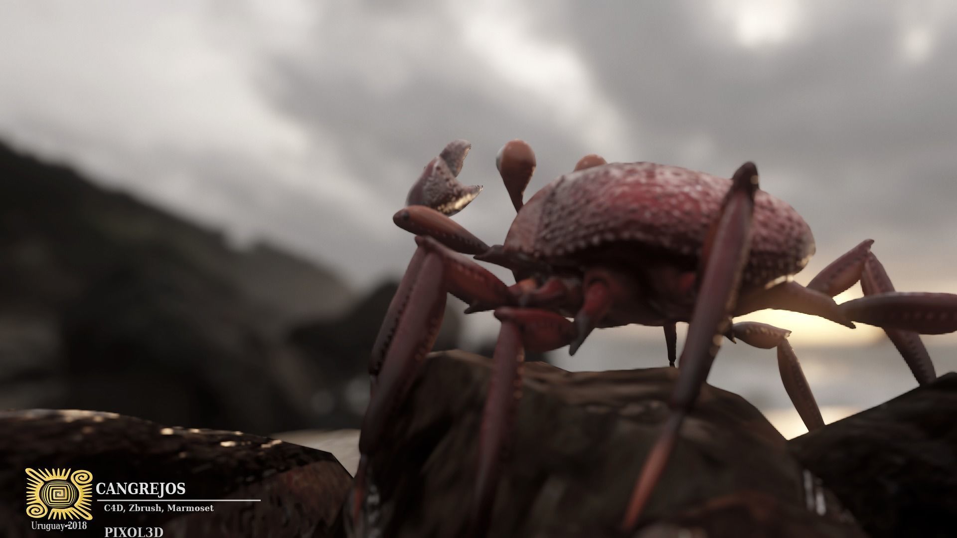 Crab Rigged Low-poly 3D model_5