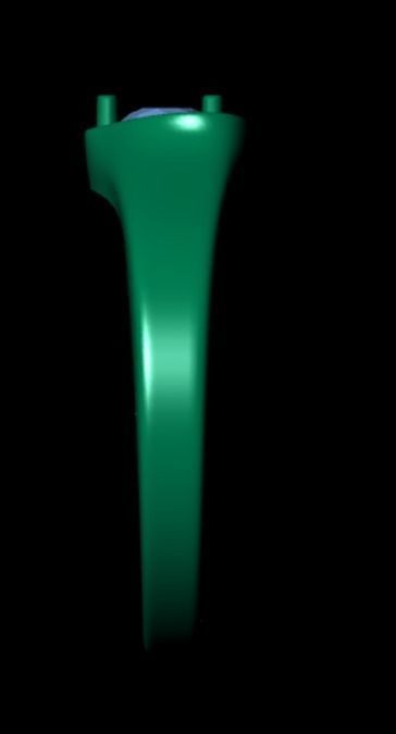 Ring di 1 3D print model_11