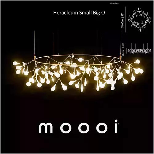 Moooi Heracleum small Big O