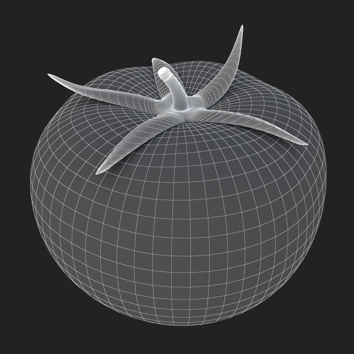 Tomatoes tomato 3D model_7