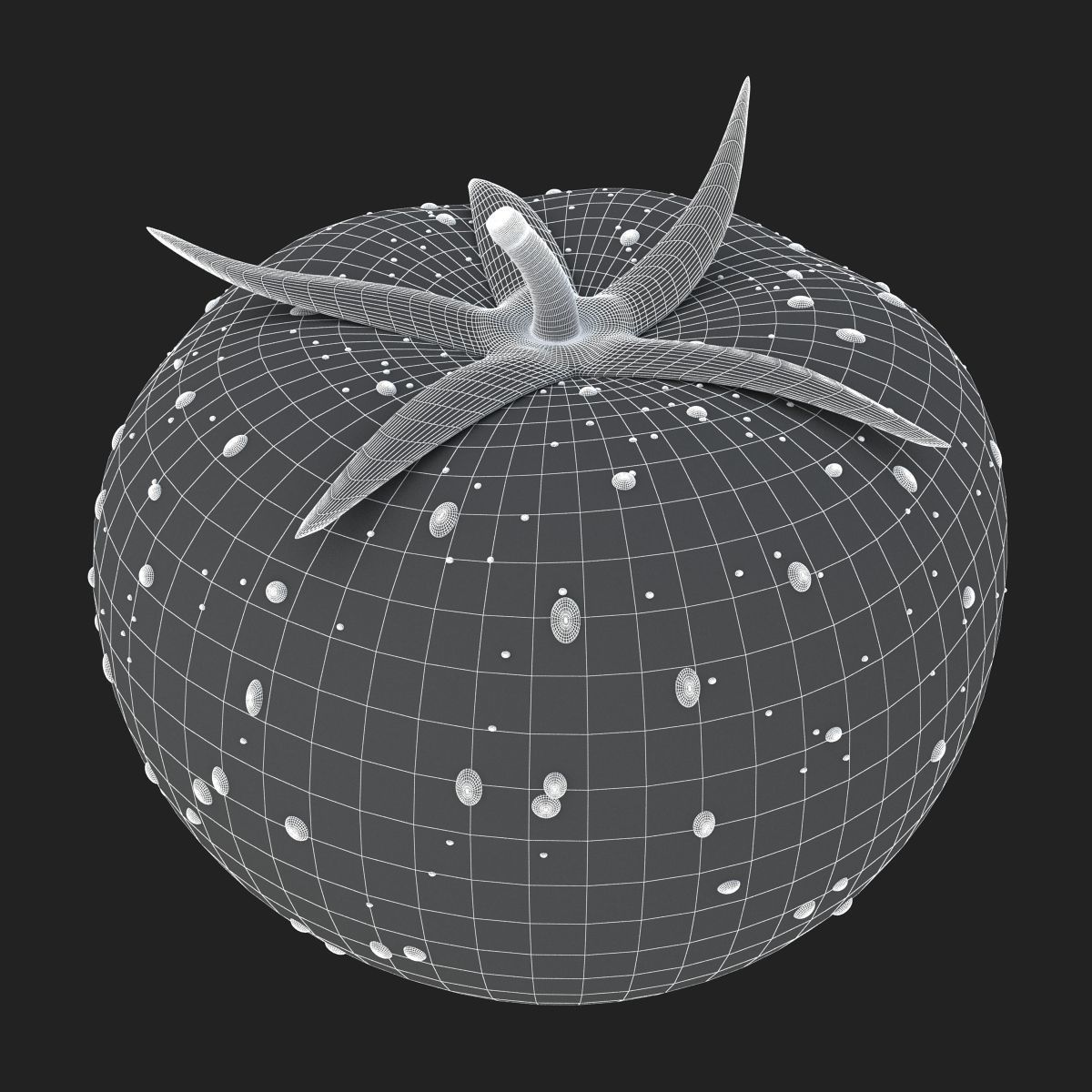 Tomatoes tomato 3D model_8