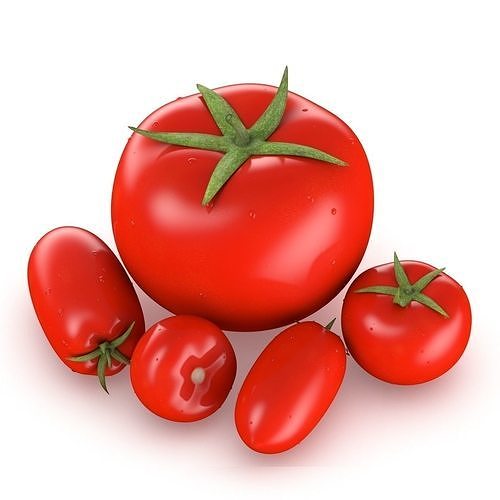 Tomatoes tomato 3D model