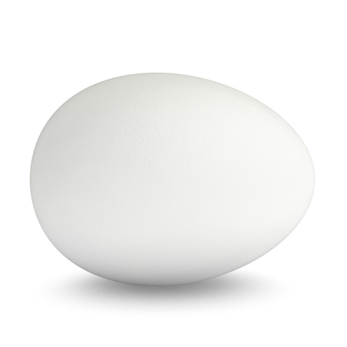 White Egg 3D model_2