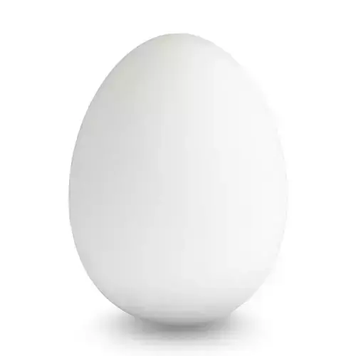 White Egg 3D model