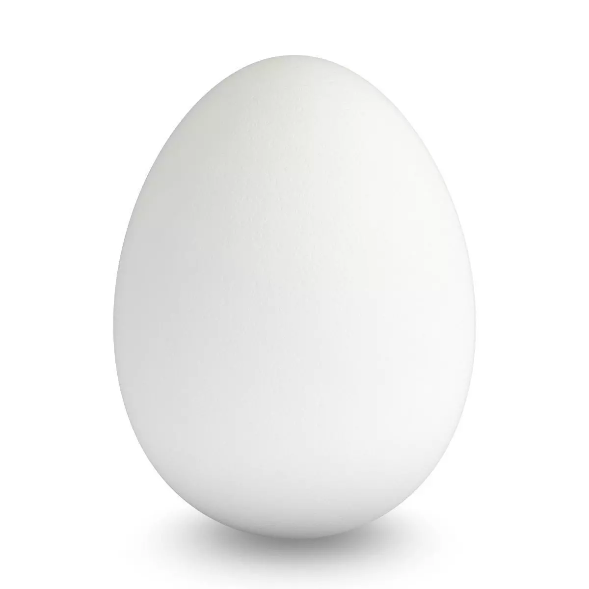 White Egg 3D model_0