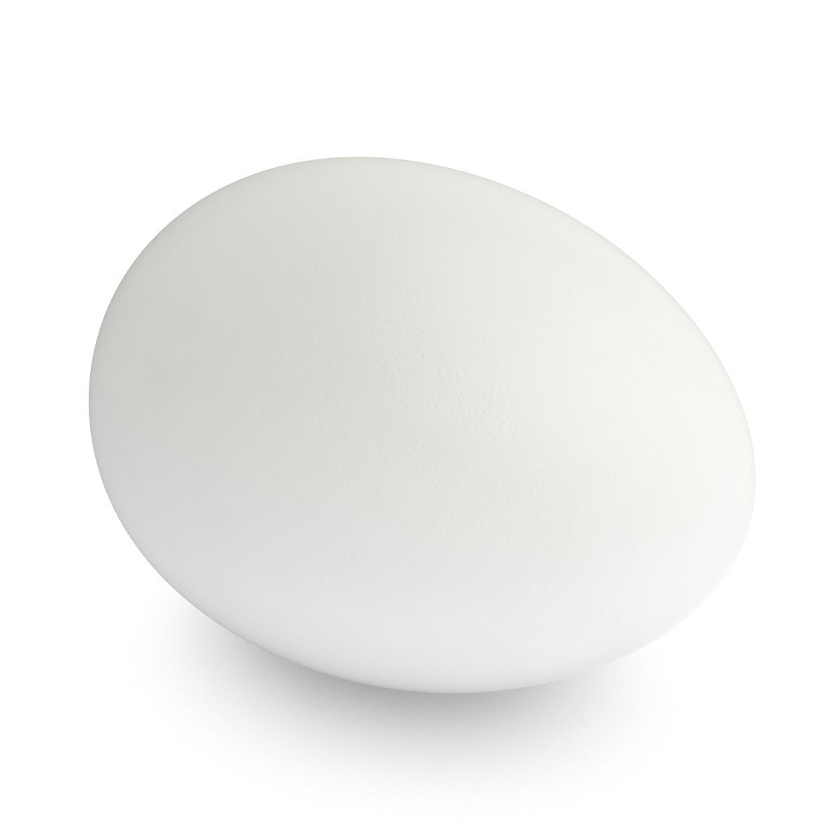 White Egg 3D model_3