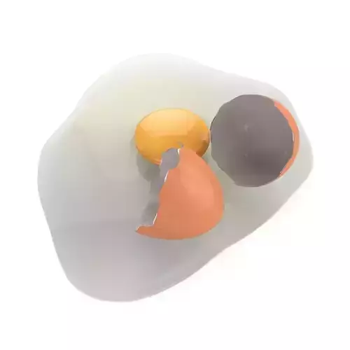 Cracked Egg 3D model