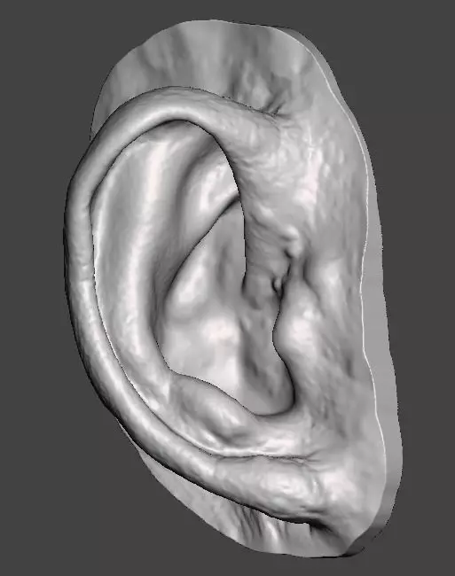Human ear anatomy with real skin texture 3D print model_0