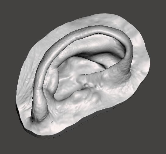 Human ear anatomy with real skin texture 3D print model_1