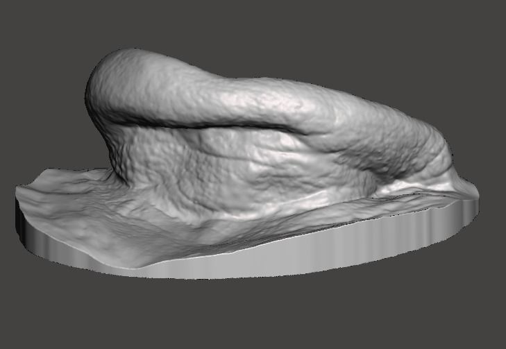 Human ear anatomy with real skin texture 3D print model_2