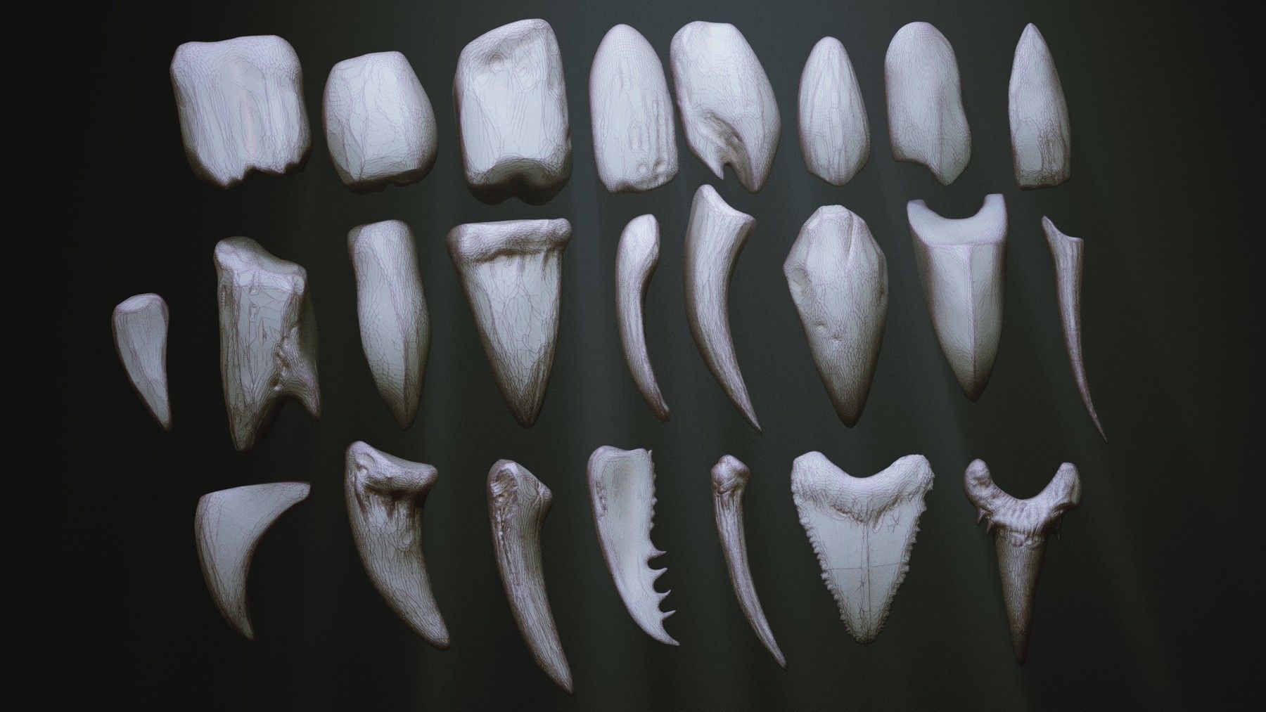 TEETH - Zbrush 24 Assorted Teeth IMM Brush plus OBJs 3D model_3