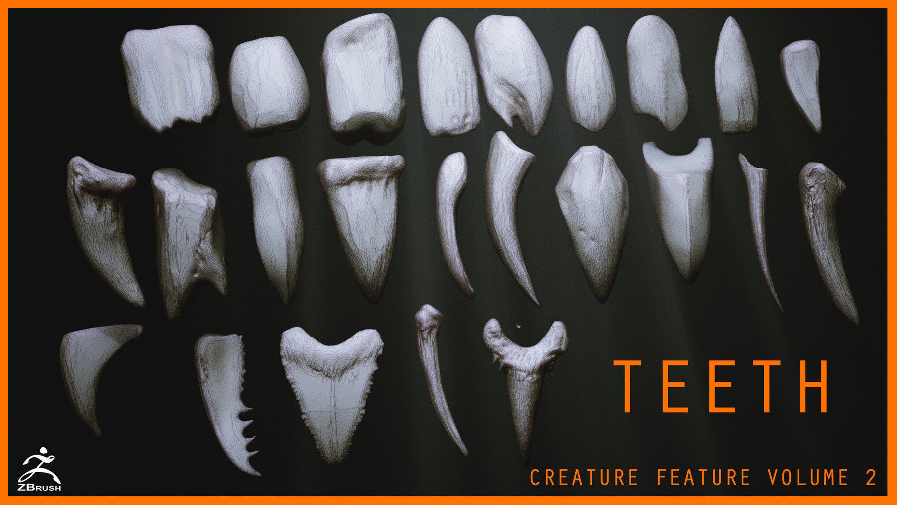 TEETH - Zbrush 24 Assorted Teeth IMM Brush plus OBJs 3D model_1