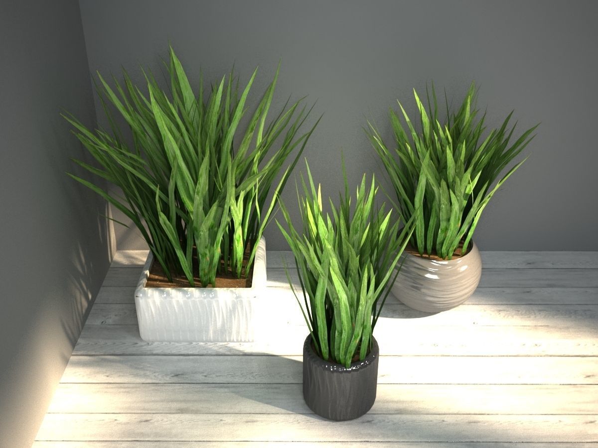 grass in pot 3D model_2
