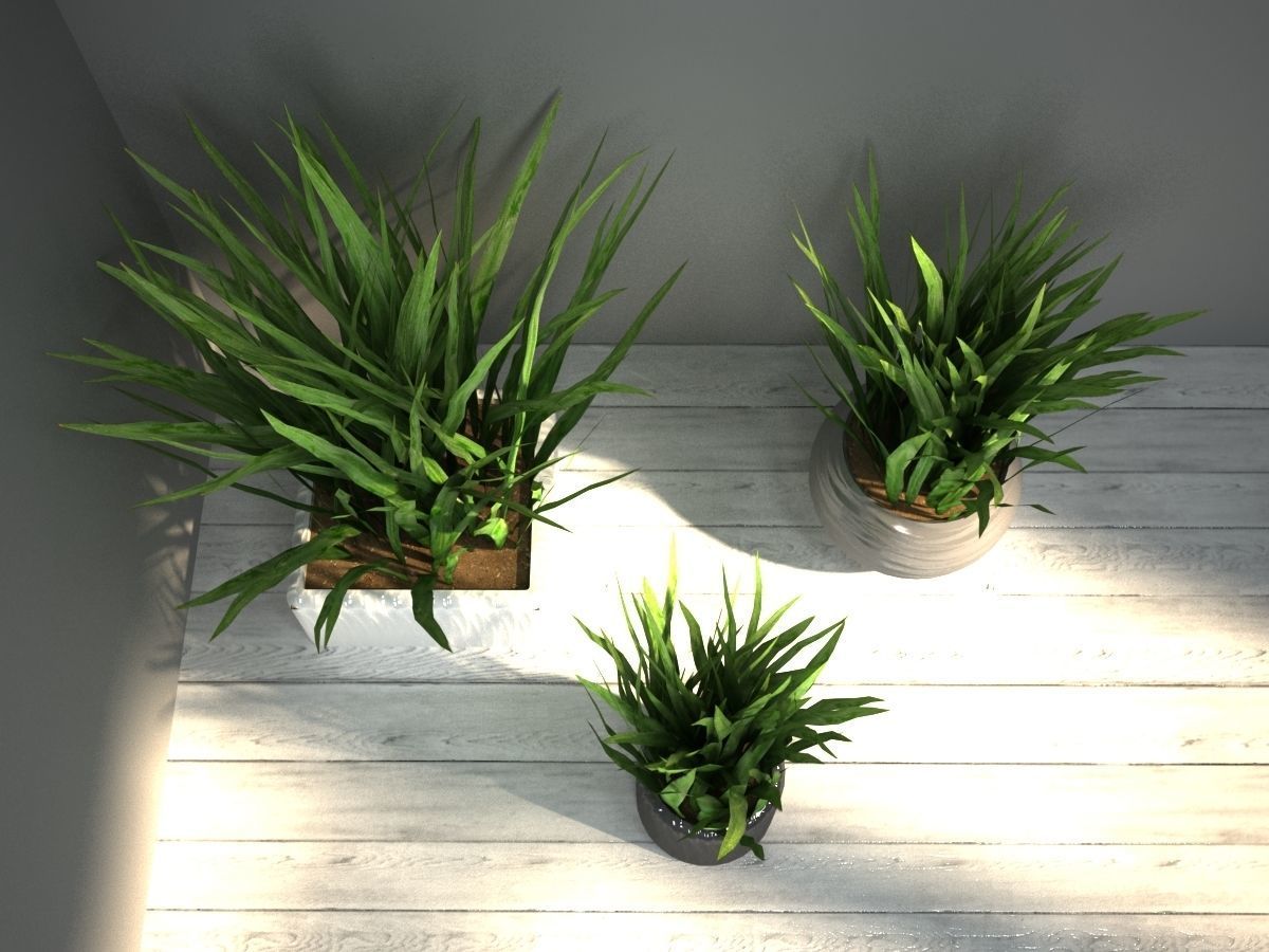 grass in pot 3D model_4