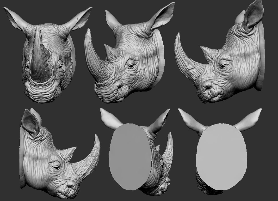 Rhino Head 3D print model_4