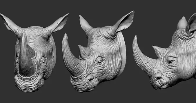 Rhino Head 3D print model