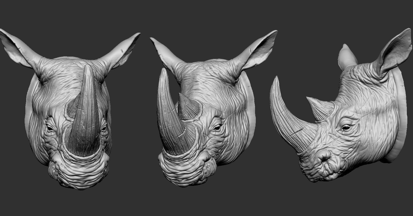 Rhino Head 3D print model_2
