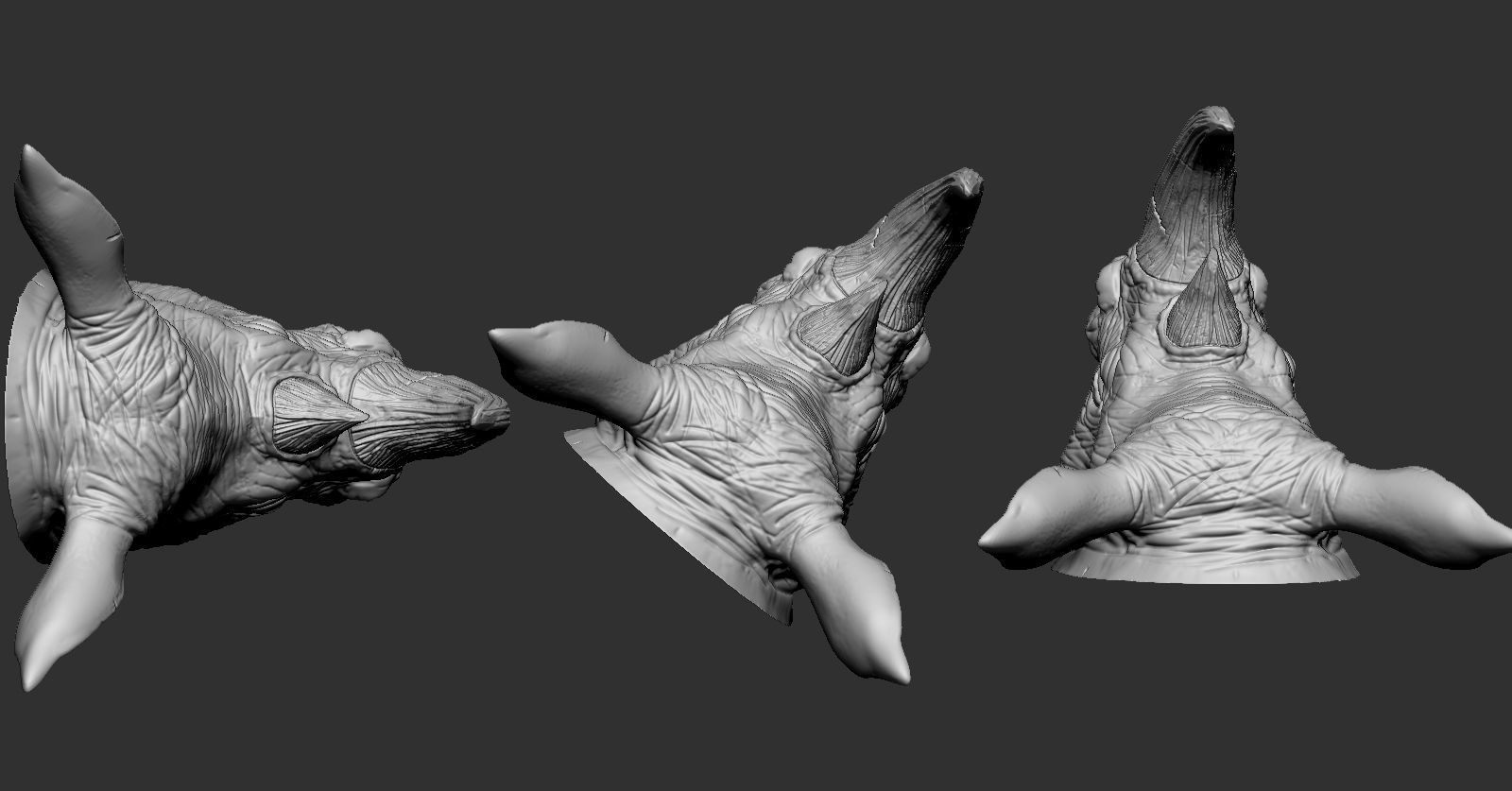 Rhino Head 3D print model_3