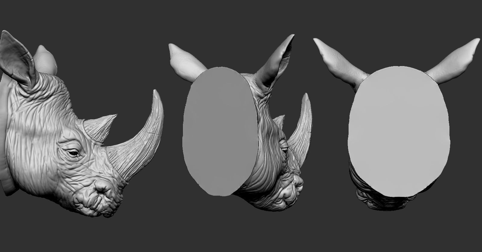 Rhino Head 3D print model_1