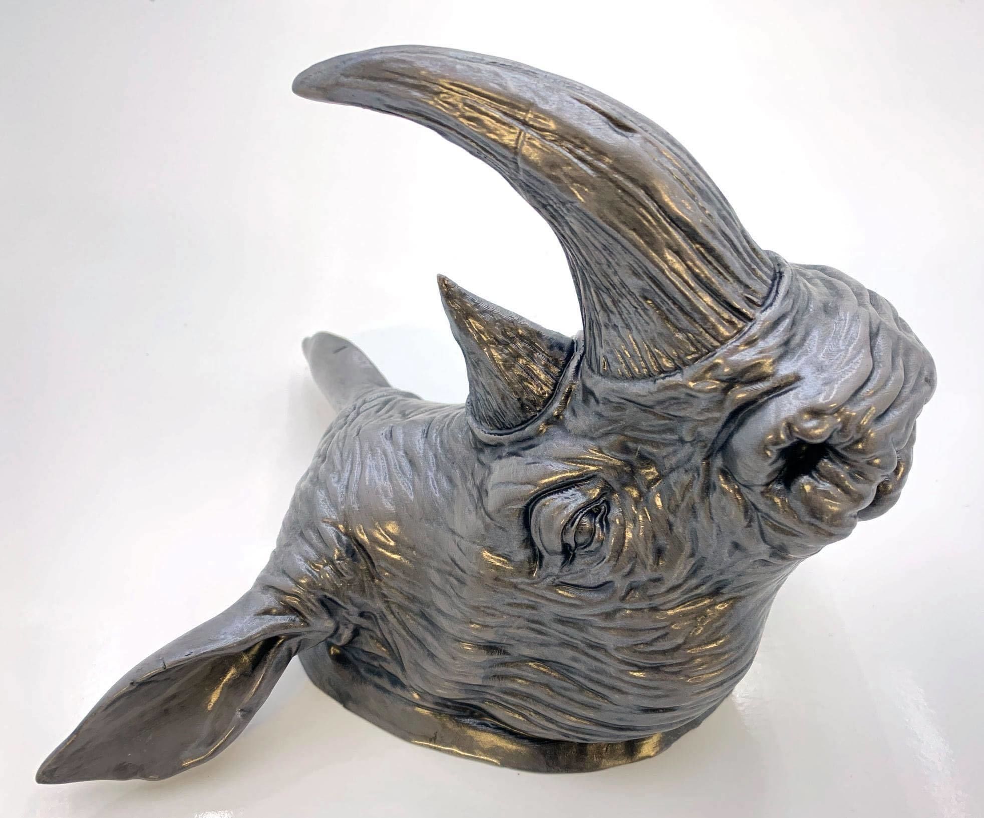 Rhino Head 3D print model_7