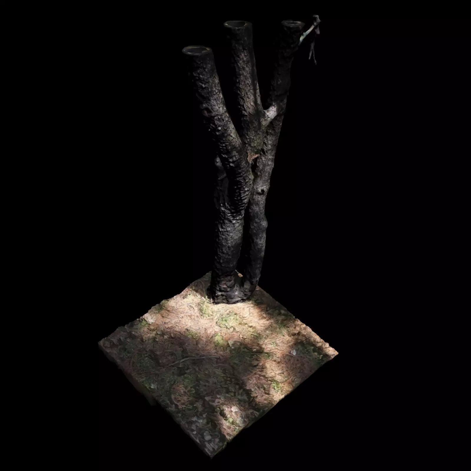 Big Tree 3D model_0