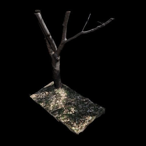 Big Tree 3D model