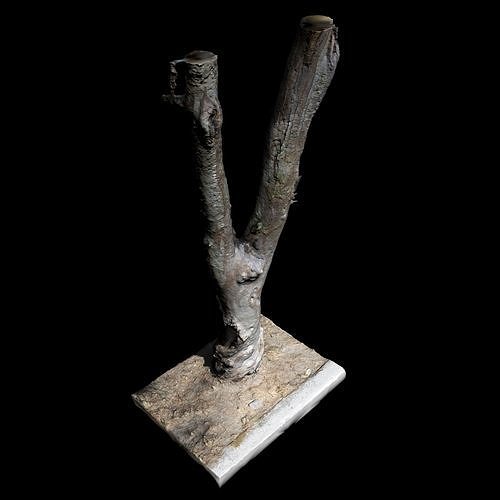 Big Tree 3D model