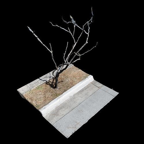 Big Tree 3D model