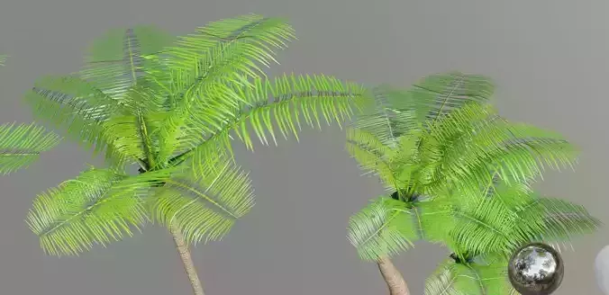 realistic palm or coconut tree