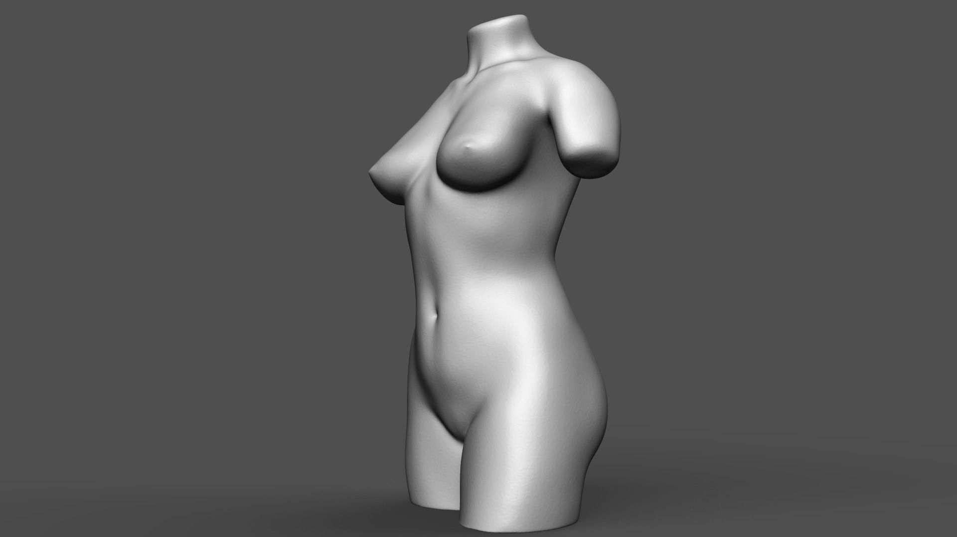 Female torso 3D print model_2