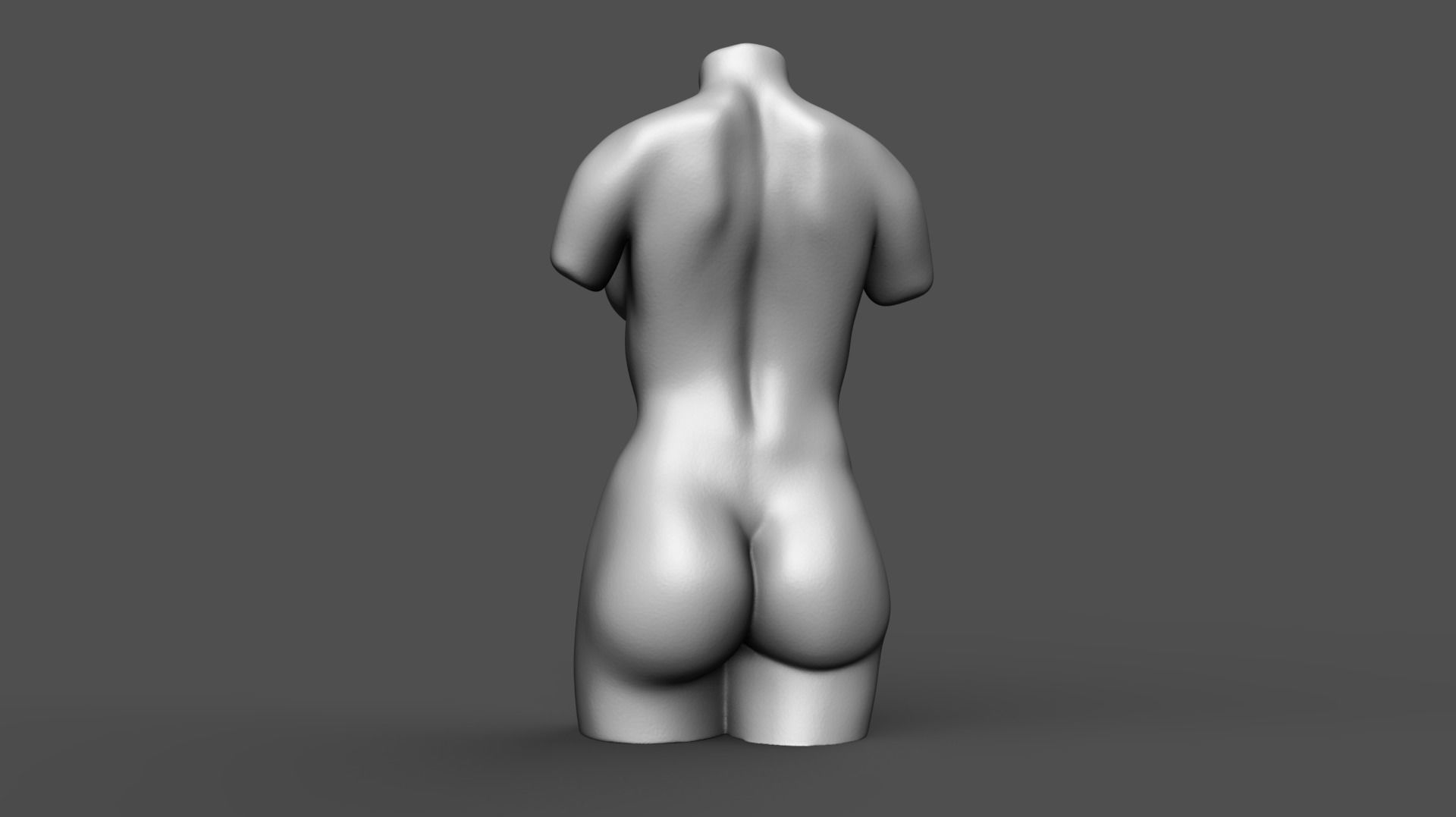 Female torso 3D print model_5