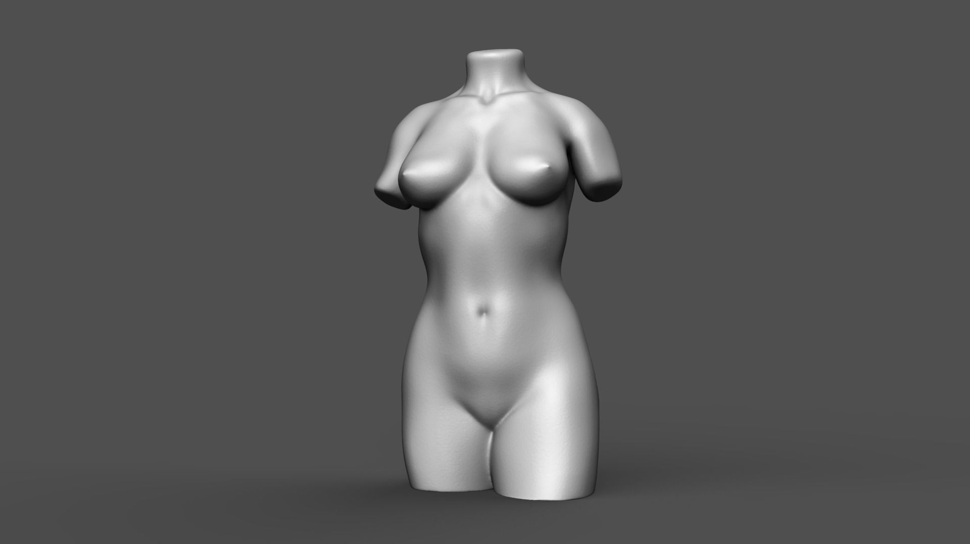 Female torso 3D print model_4