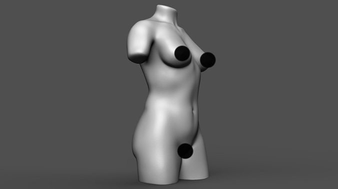 Female torso 3D print model