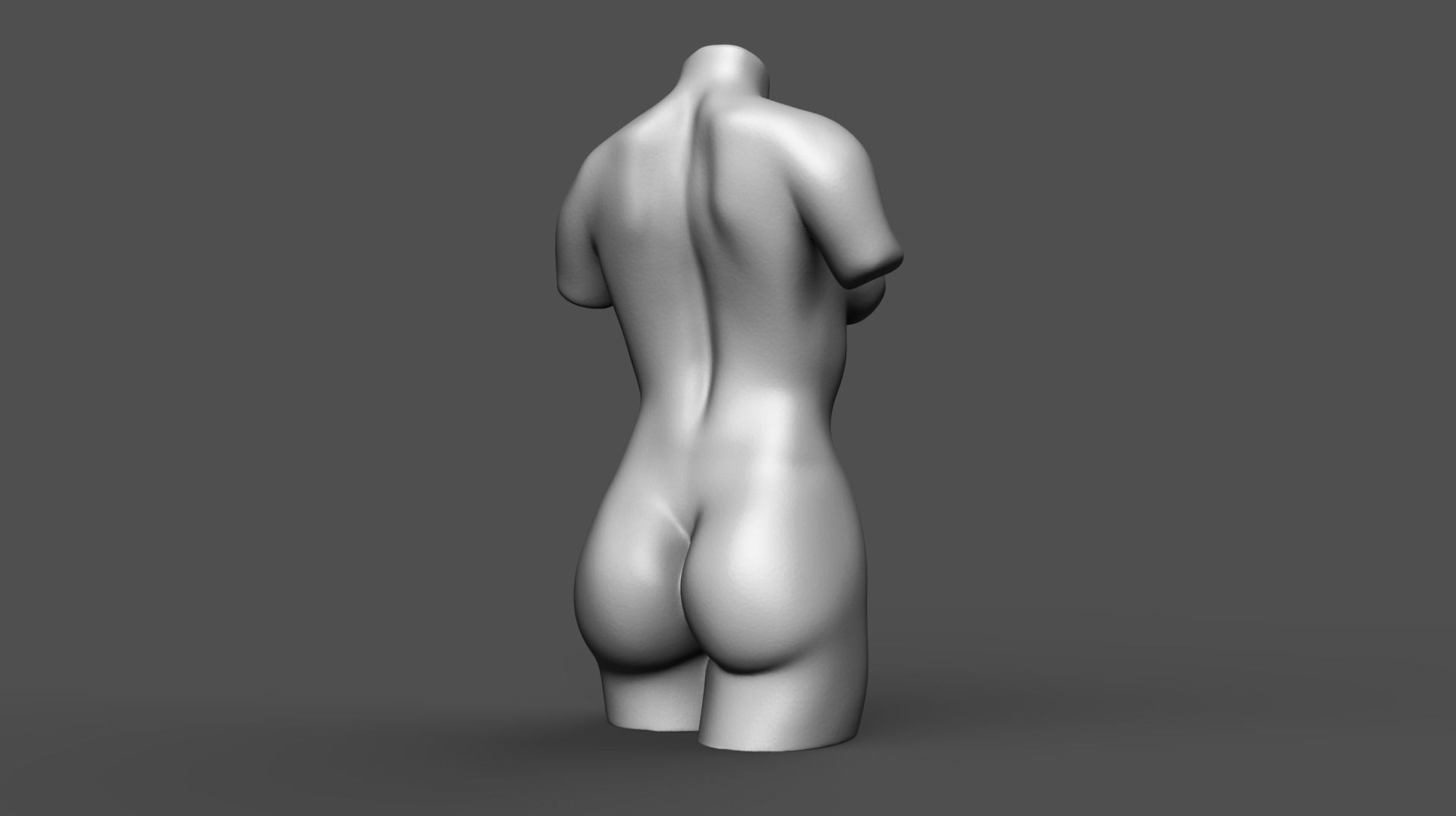 Female torso 3D print model_3