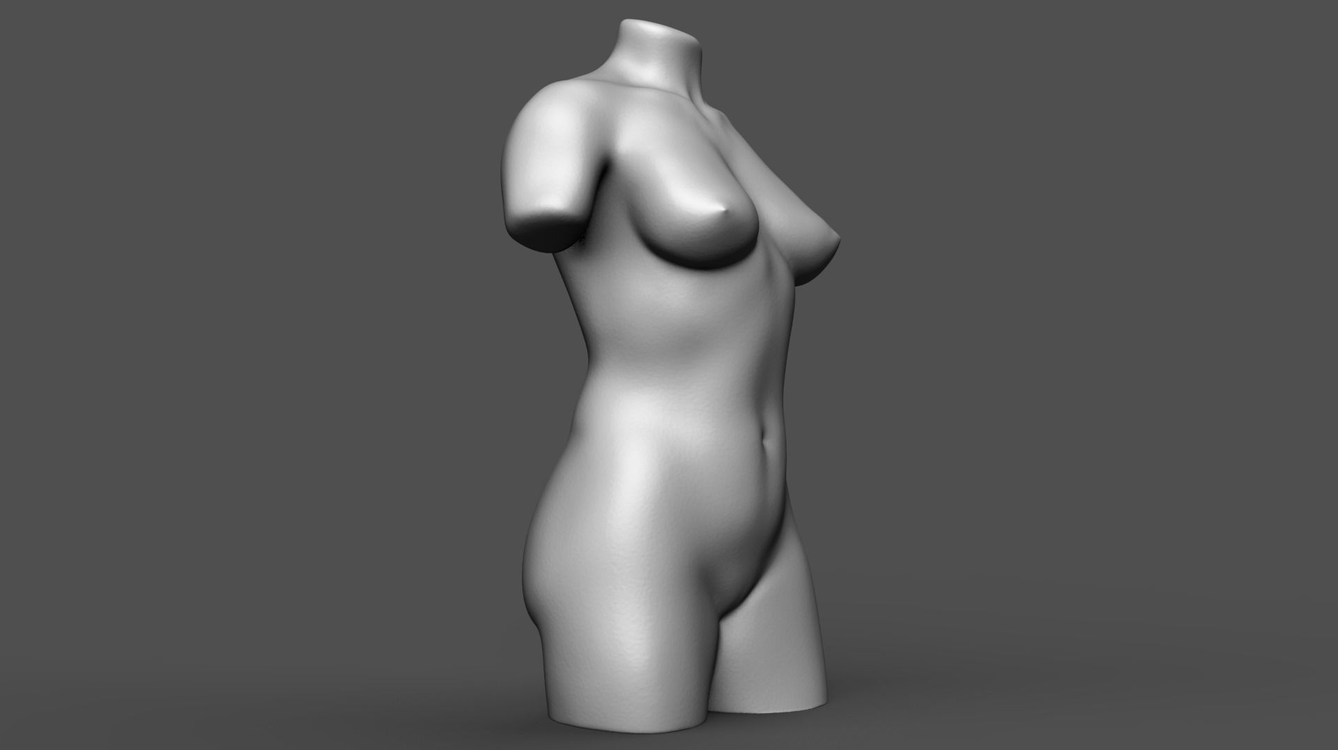 Female torso 3D print model_1