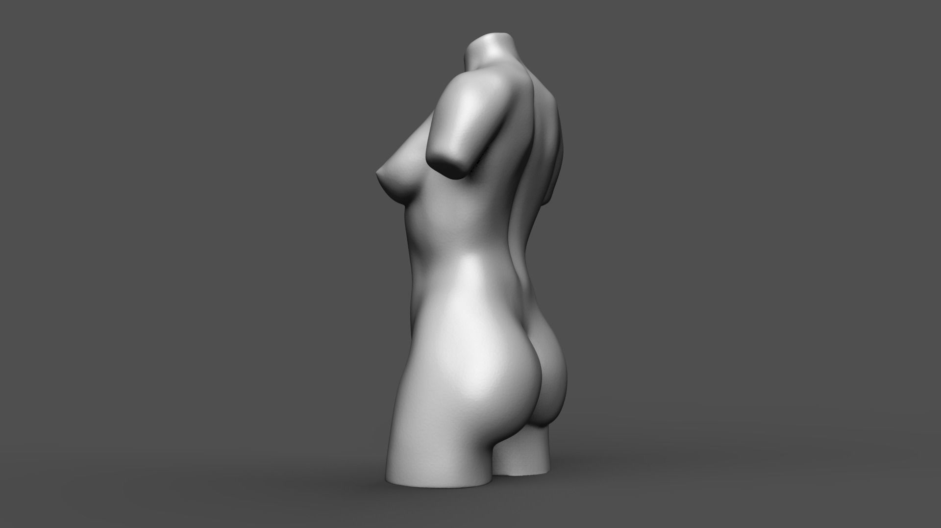 Female torso 3D print model_6