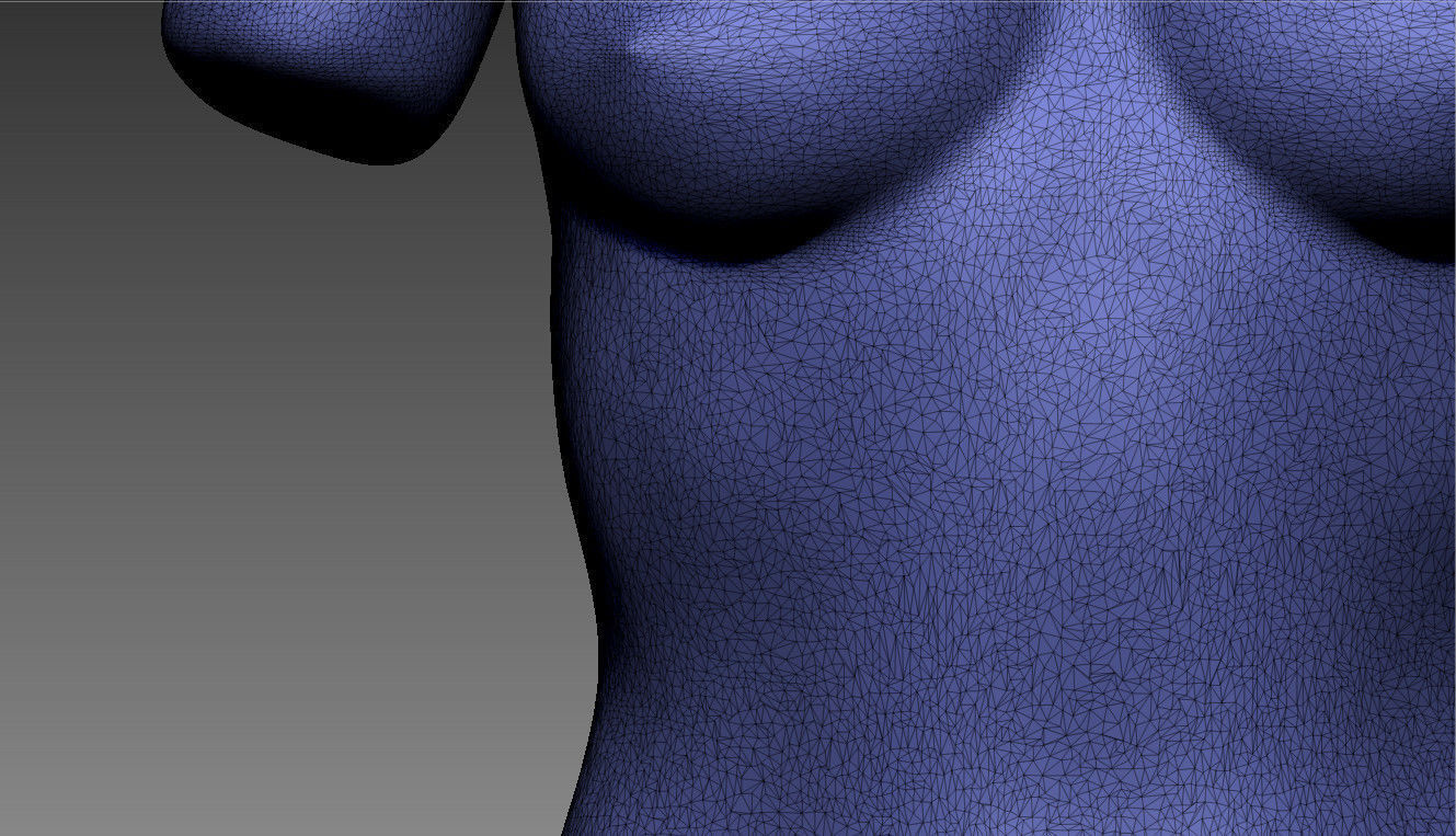 Female torso 3D print model_7