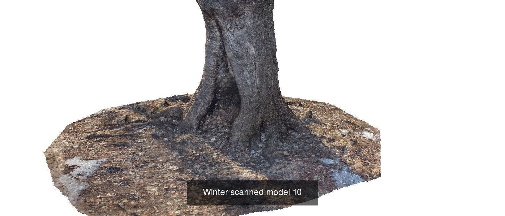 Winter 3D scan collection _7