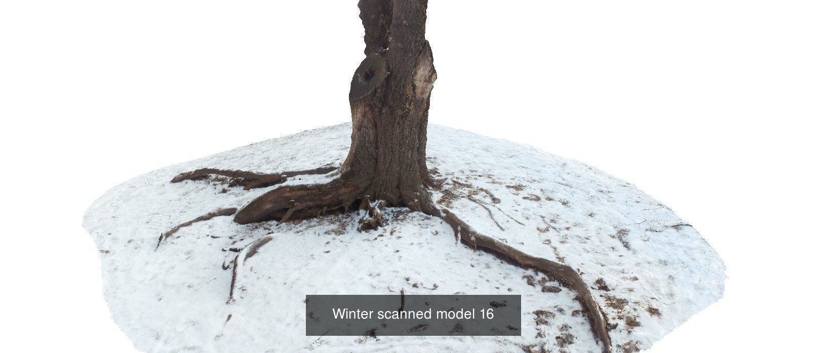 Winter 3D scan collection _1