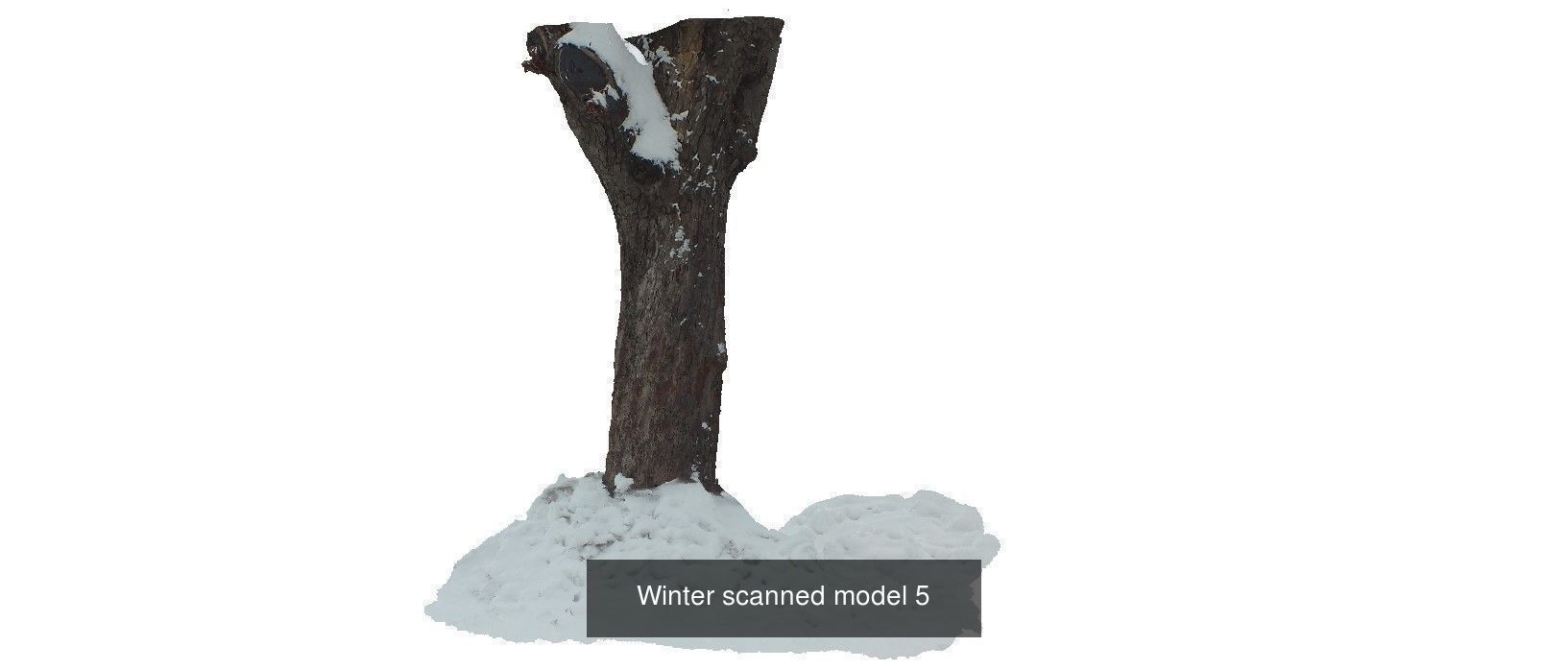 Winter 3D scan collection _3
