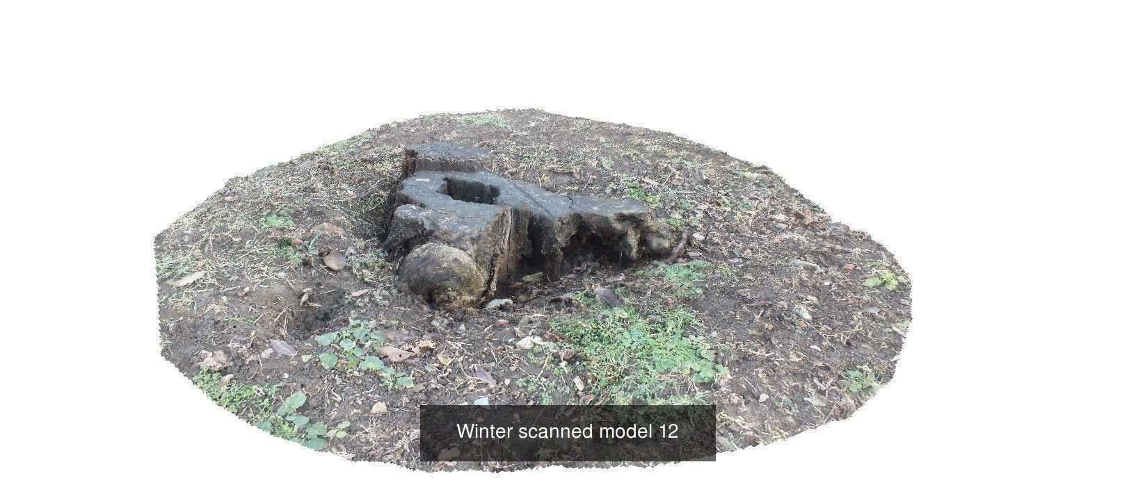 Winter 3D scan collection _10