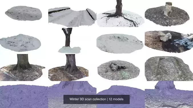 Winter 3D scan collection