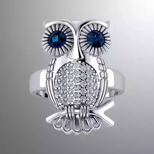 Ring k 4 owl