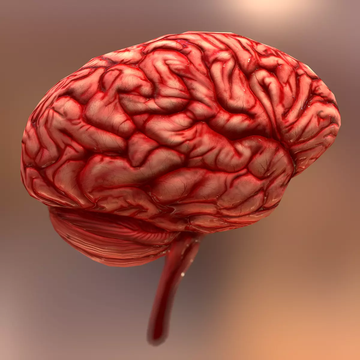 HQ Human Internal Organs Low-poly 3D model