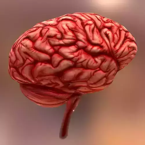 HQ Human Internal Organs Low-poly 3D model
