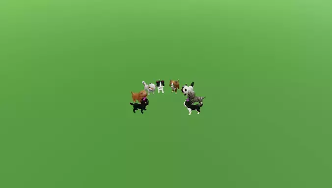 Animated Cat SET Free low-poly 3D model