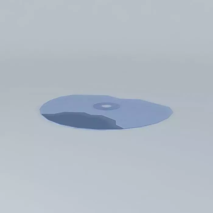 writable cd Free 3D model_0
