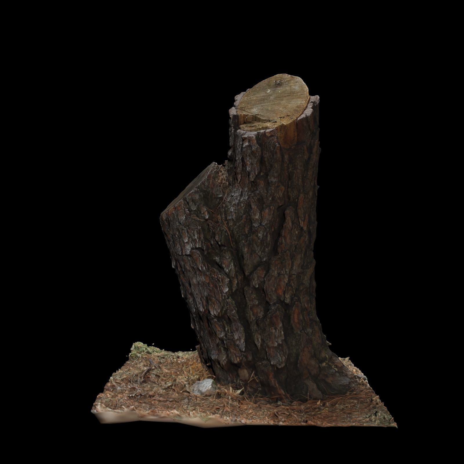 Trunk tree stump 3D model_2